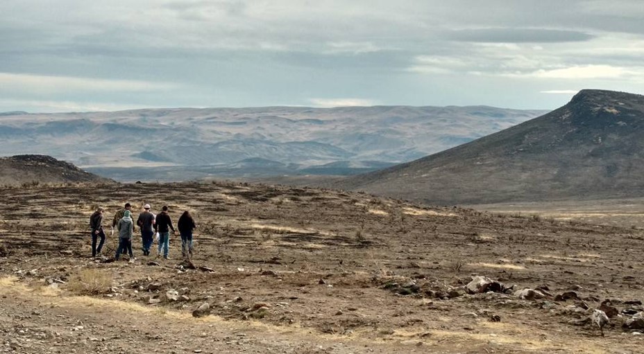 Access Natural Resources eJournals