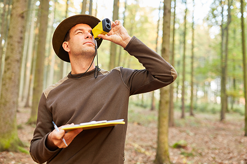 ranger measure tree height