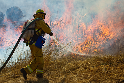 wildland firefighter fighting a fire